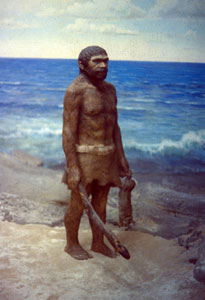 Neanderthal Man in the Field Museum